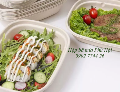 Hộp bã mía 1 ngăn to nắp nhựa PET 850ml